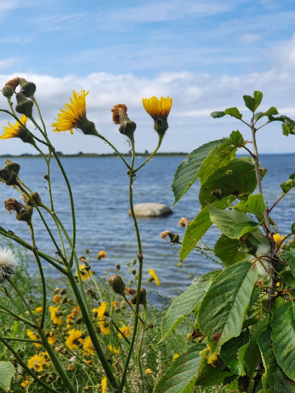 Naturskön Promenad vid Tredenborgs&nbsp;Camping
