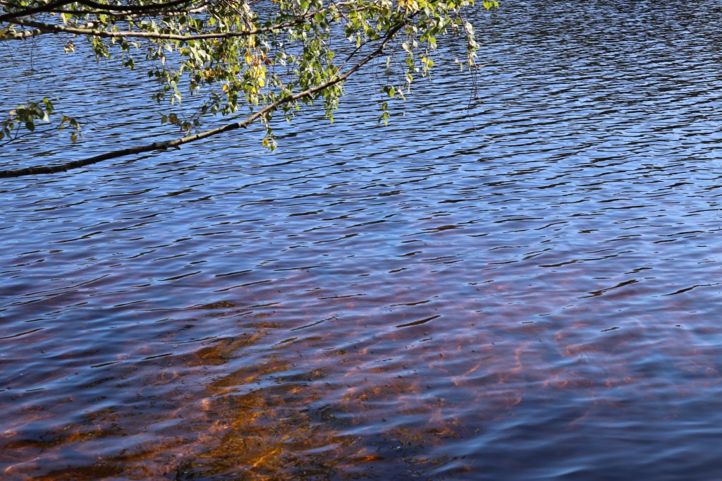 De orden som cirkulerade mest i huvudet då var ”Ensam är&nbsp;stark”